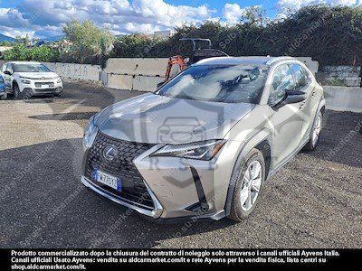 Lexus UX Business 2019