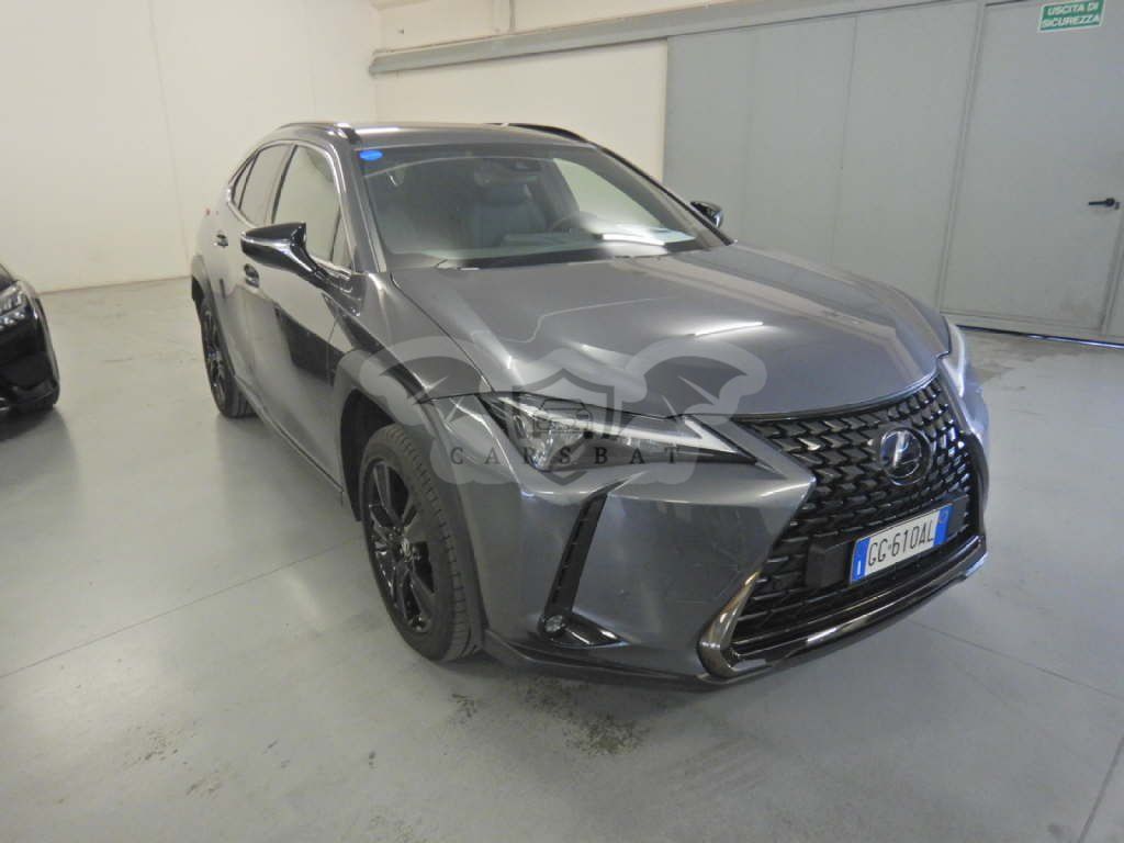 Lexus UX Sport Line 2021