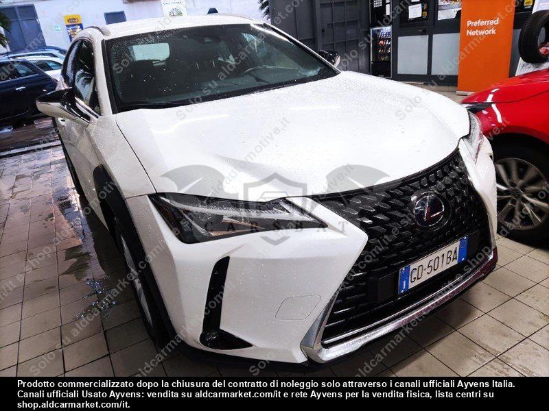 Lexus UX Business 2020