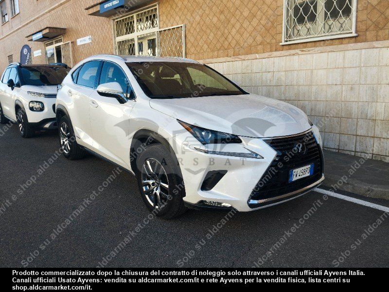 Lexus NX Business 2019
