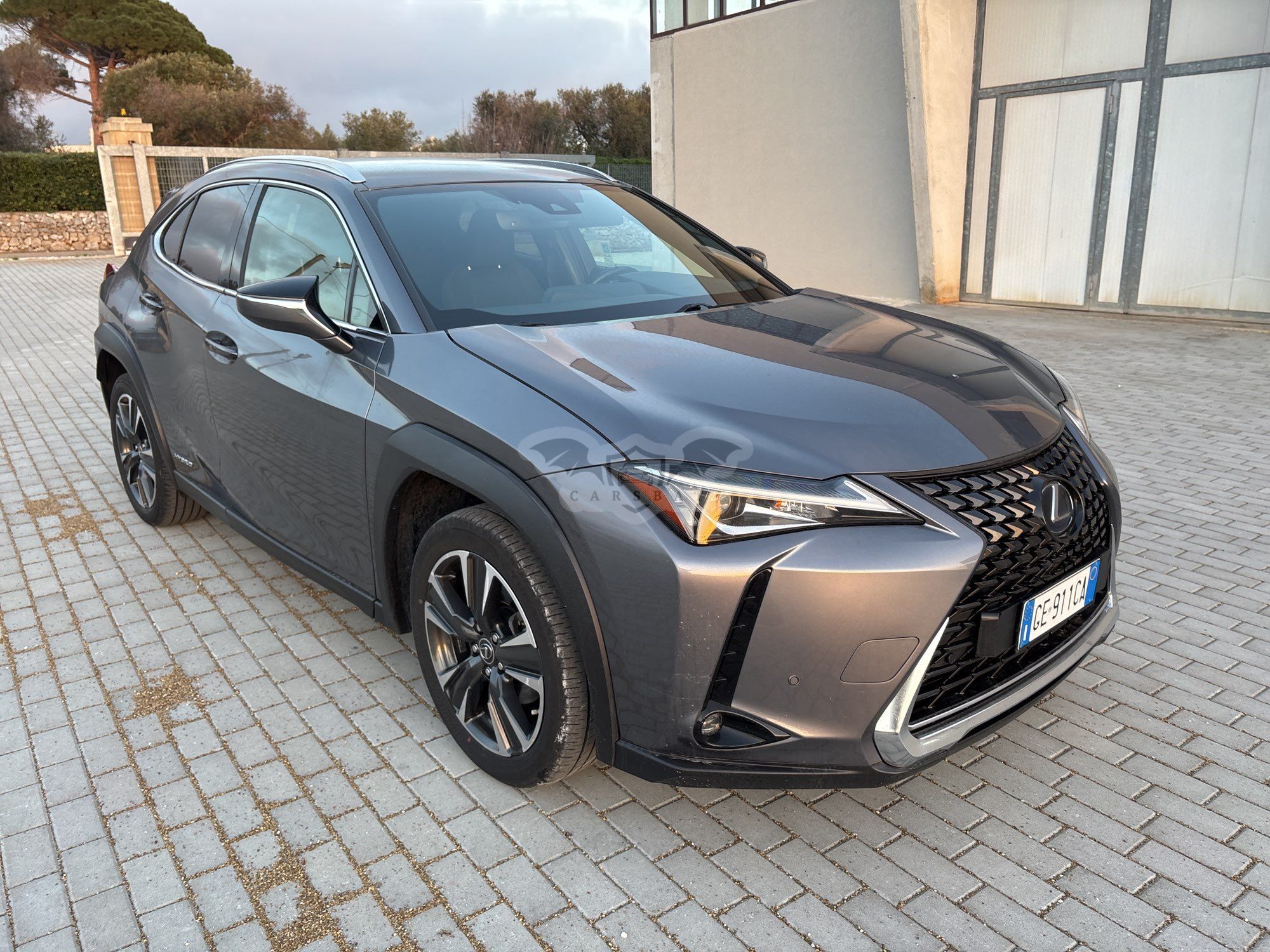 Lexus UX 250h 2021