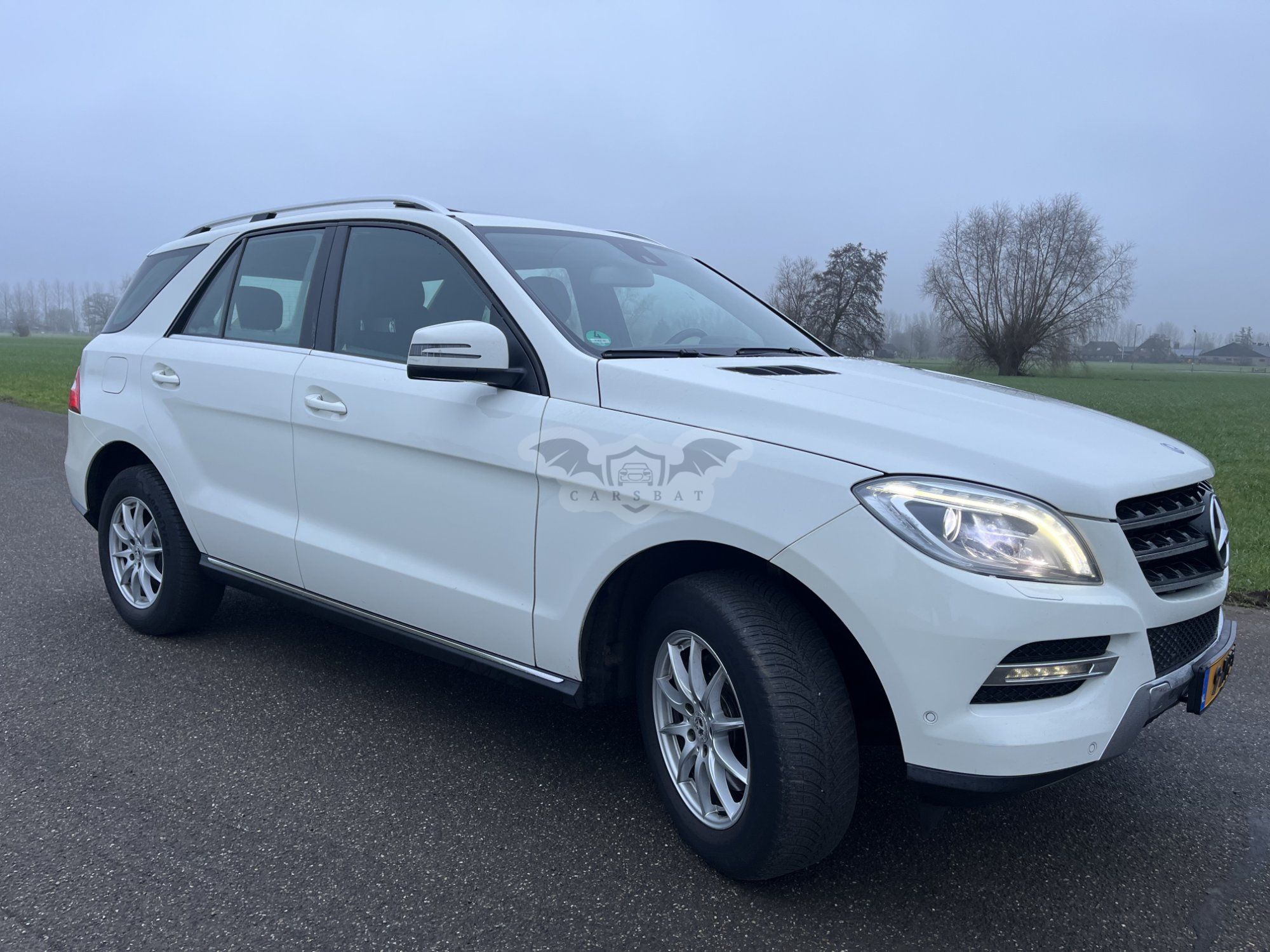 Mercedes-Benz ML 250 2013