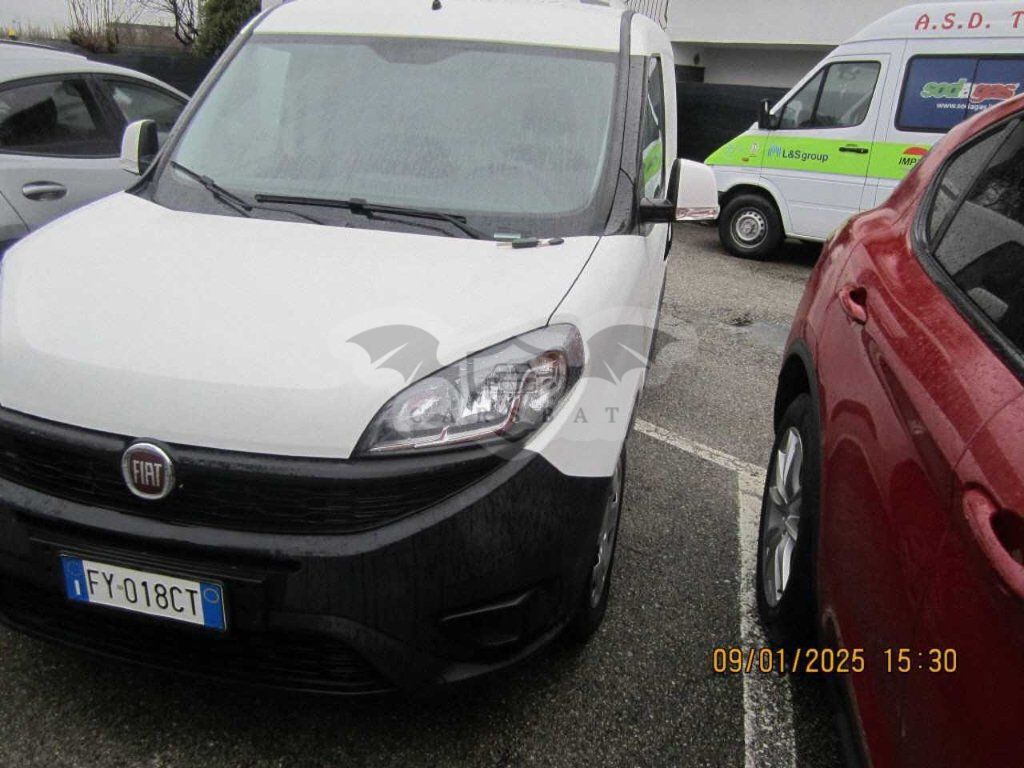Fiat Doblo Cargo 1.4 SX 2019