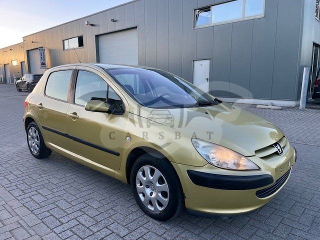 Peugeot 307 1.6i 2004