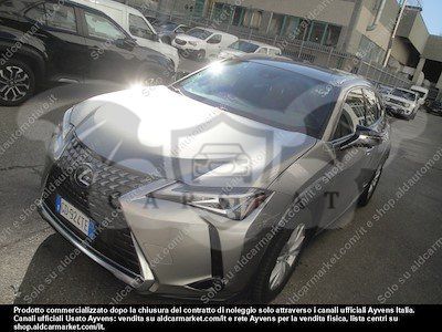 Lexus UX Business 2020