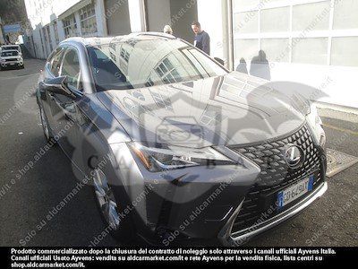 Lexus UX Business 2020