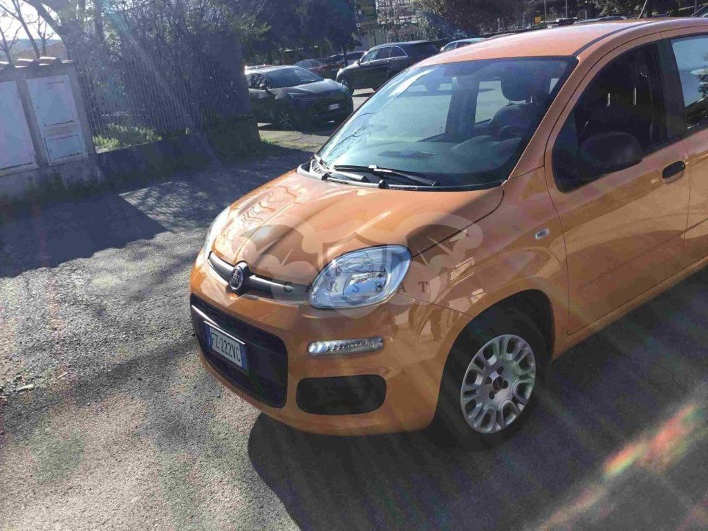 Fiat Panda 1.2 Easy 2019