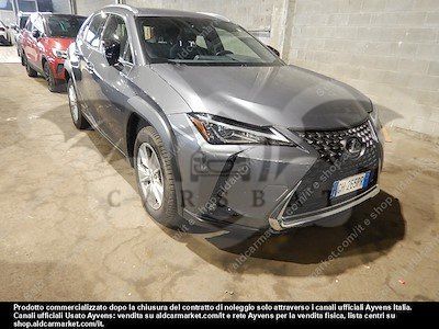 Lexus UX Business 2021