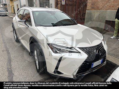 Lexus UX Business 2020