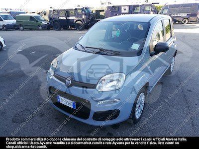 Fiat Panda 1.2 Easy 2020