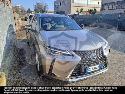 Lexus UX Business 2020