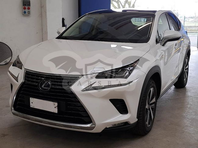 Lexus NX 300h Luxury 2020