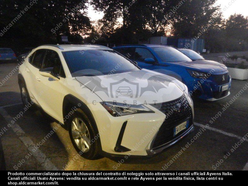 Lexus UX Business 2019