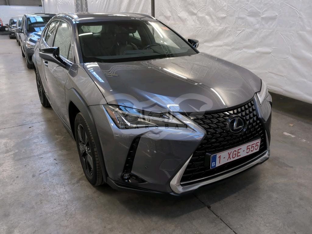 Lexus UX 250h Business 2019