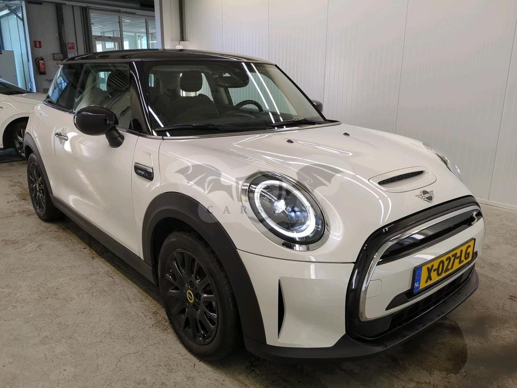 Mini Electric 2023