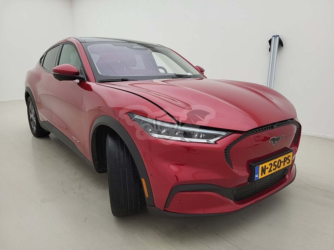 Ford Mustang Mach-E 2021
