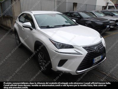 Lexus NX Executive 2020