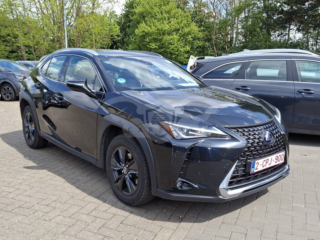 Lexus UX 250h Business 2022