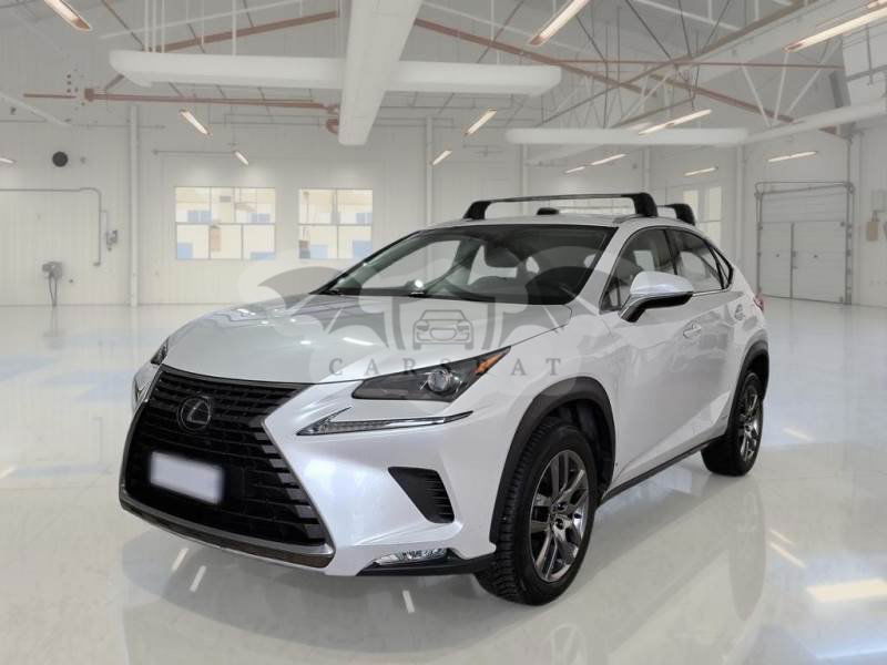 Lexus NX 300h Business 2019