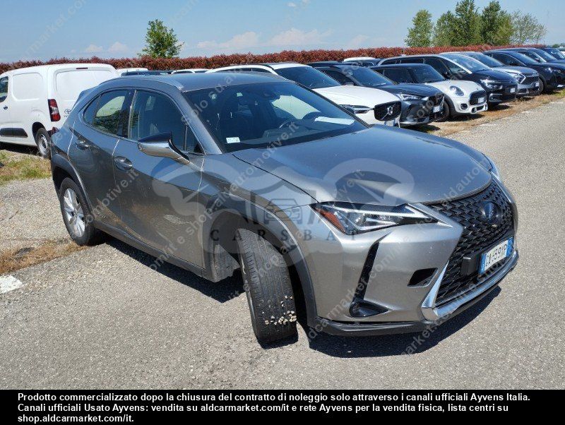 Lexus UX Business 2020