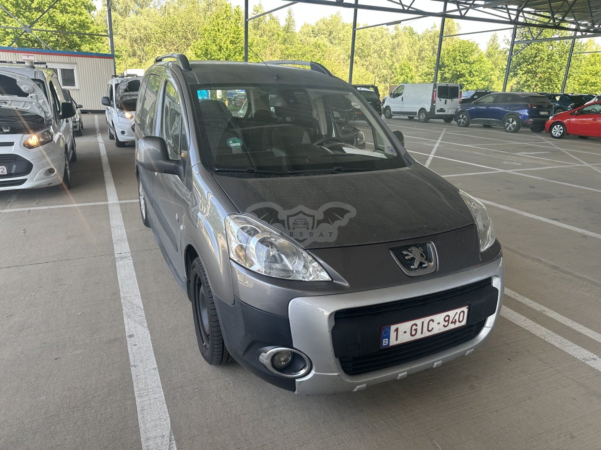 Peugeot Partner Tepee 1.6 Outdoor 2009