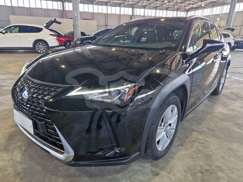 Lexus UX Business 2021