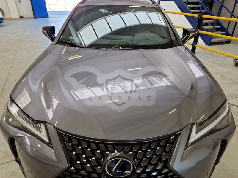 Lexus UX 250h 2021