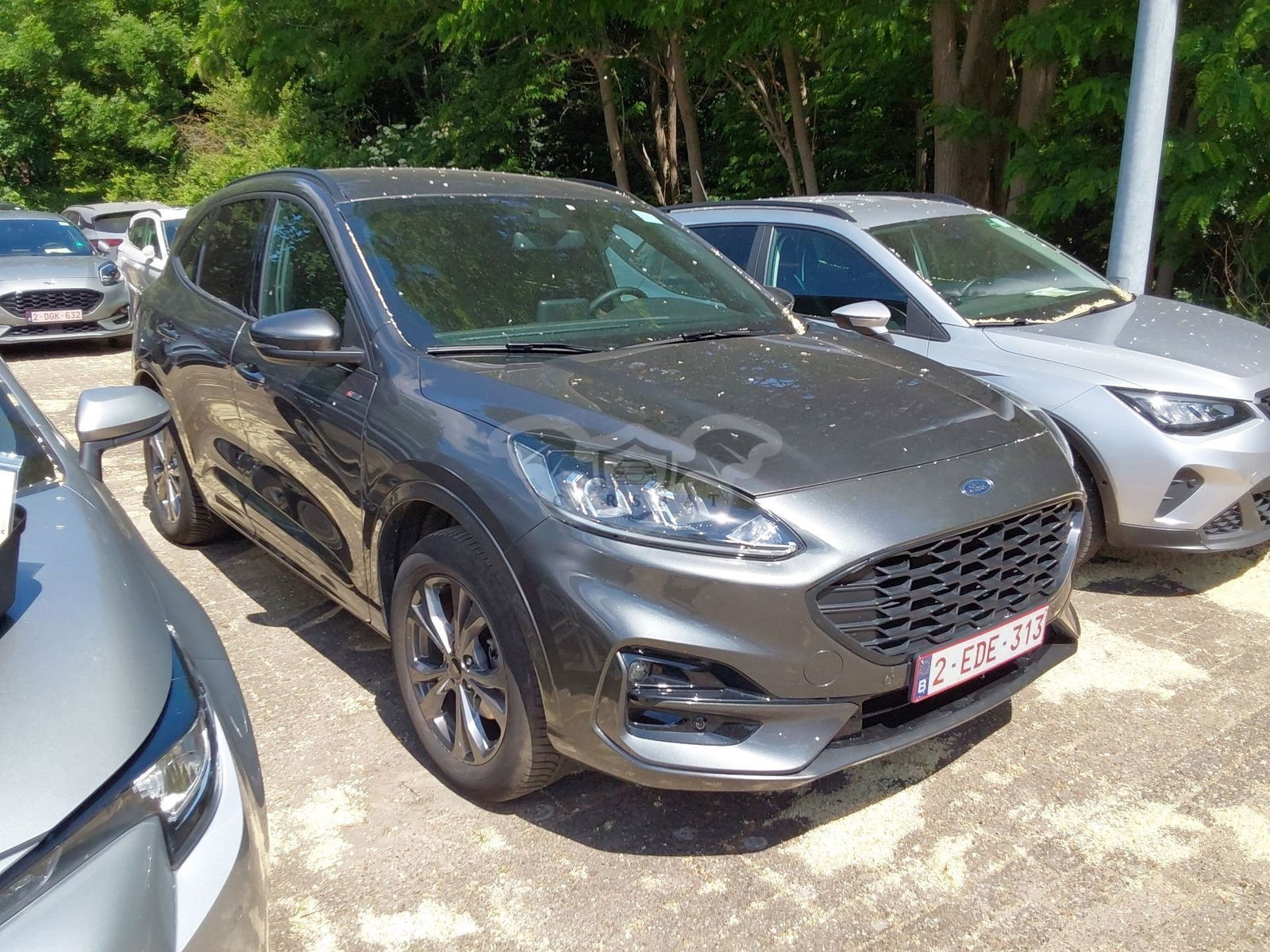 Ford Kuga 2.5 EcoBoost ST Line 2023