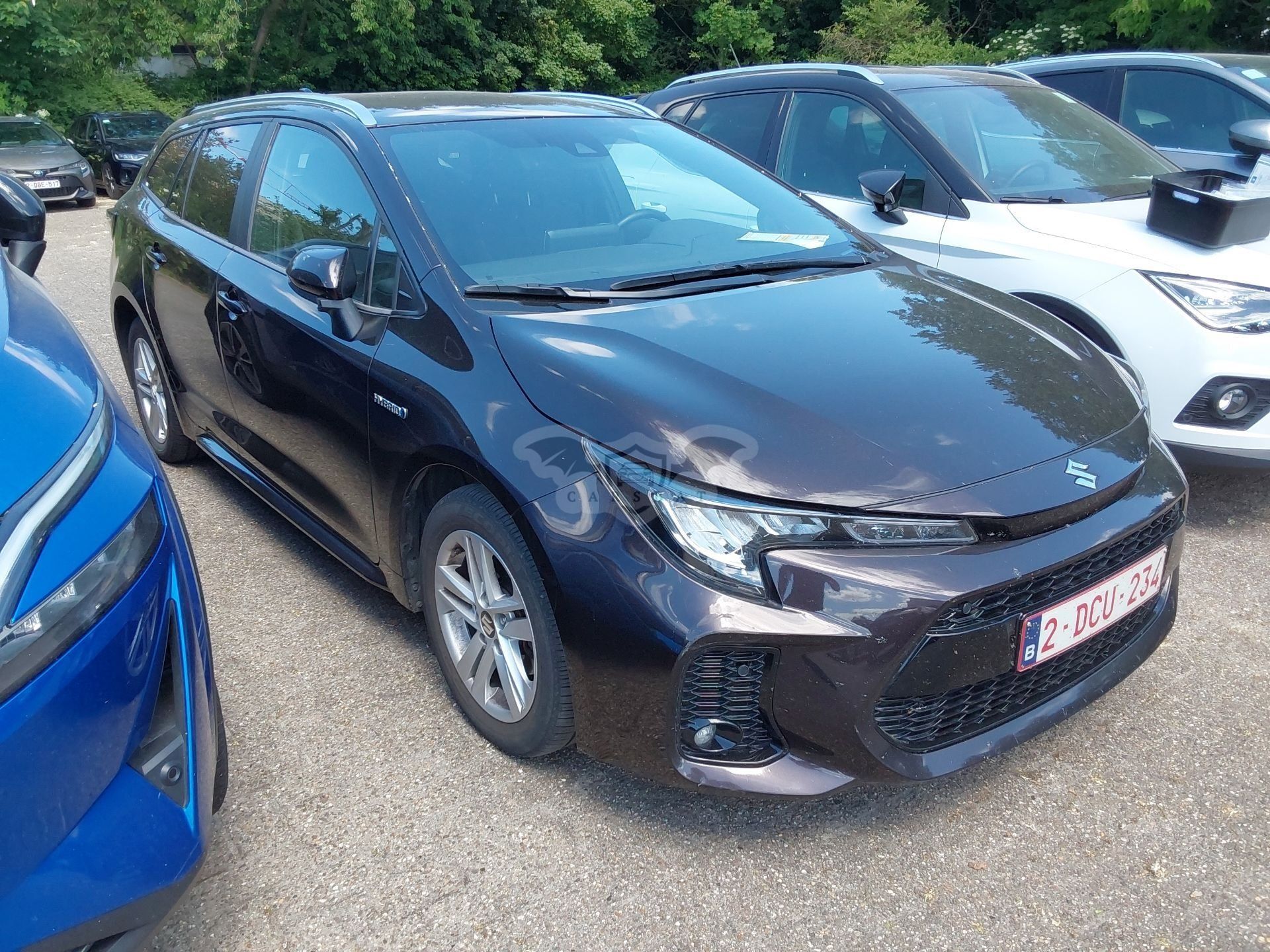 Suzuki Swace 1.8 2021