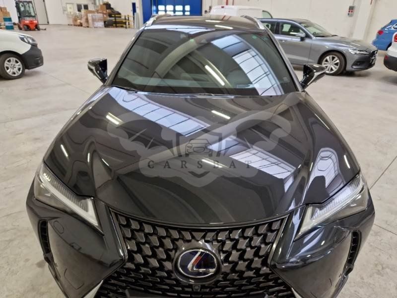 Lexus UX Luxury 2021