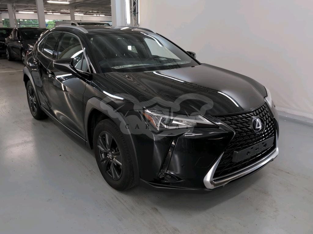 Lexus UX 250h Business 2020
