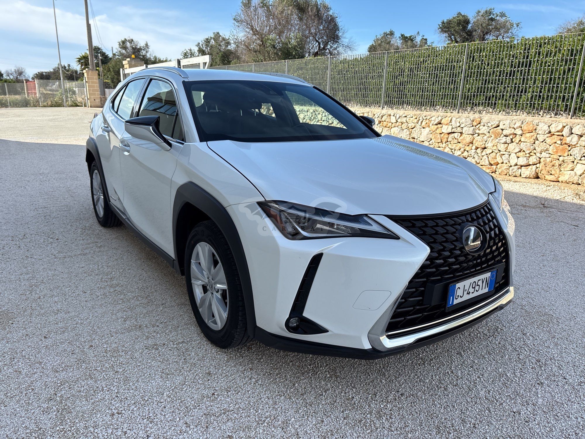 Lexus UX 250h Business 2022