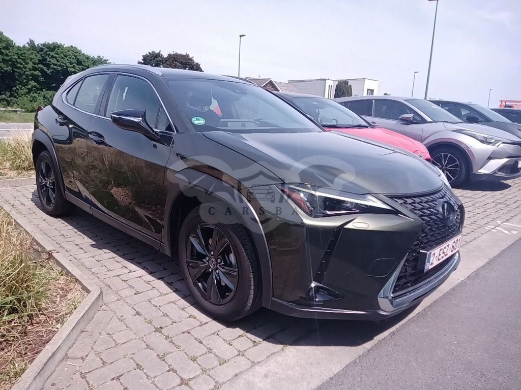 Lexus UX 250h Business 2024