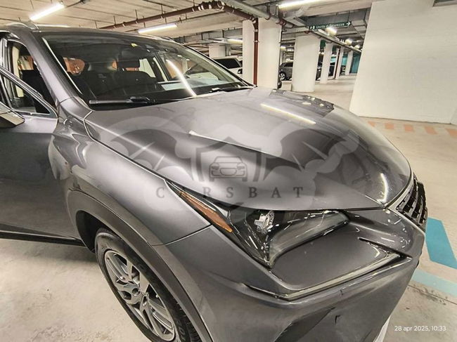 Lexus NX Business 2020