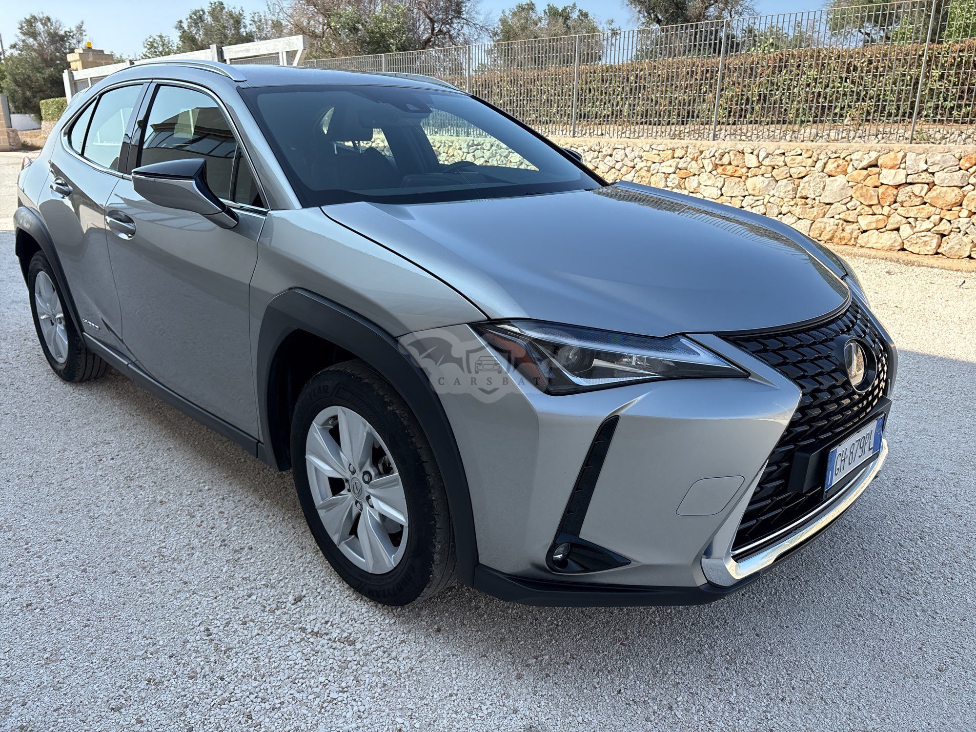 Lexus UX 250h Business 2021