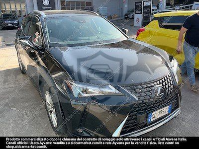 Lexus UX Business 2020