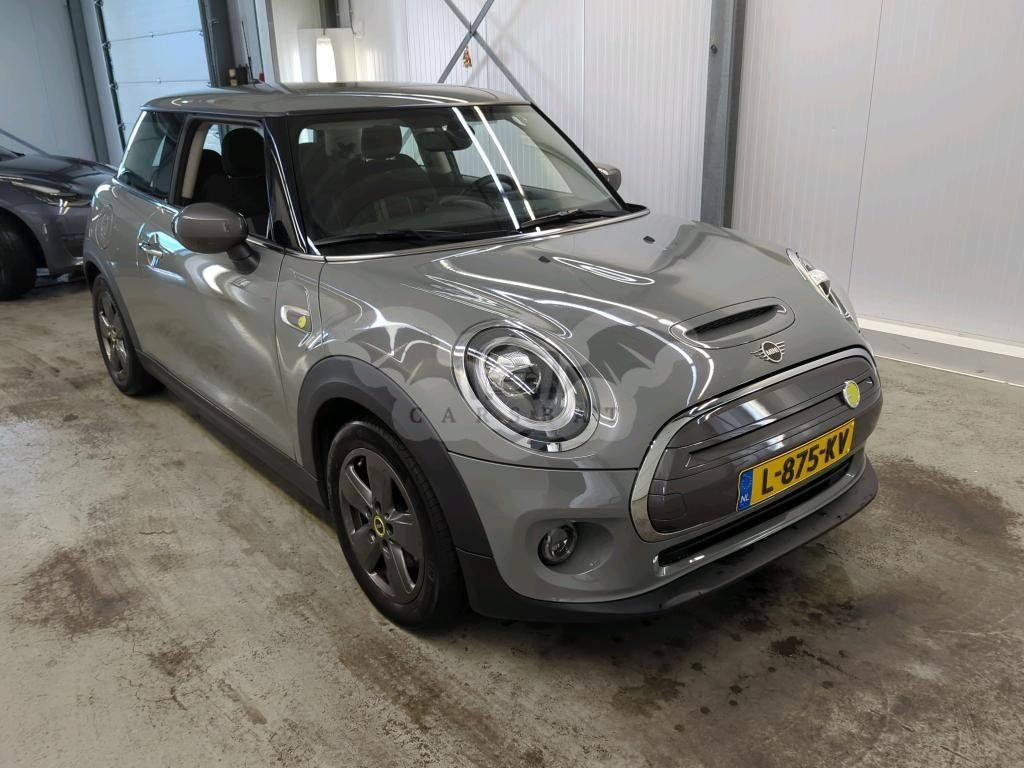 Mini Electric 2021