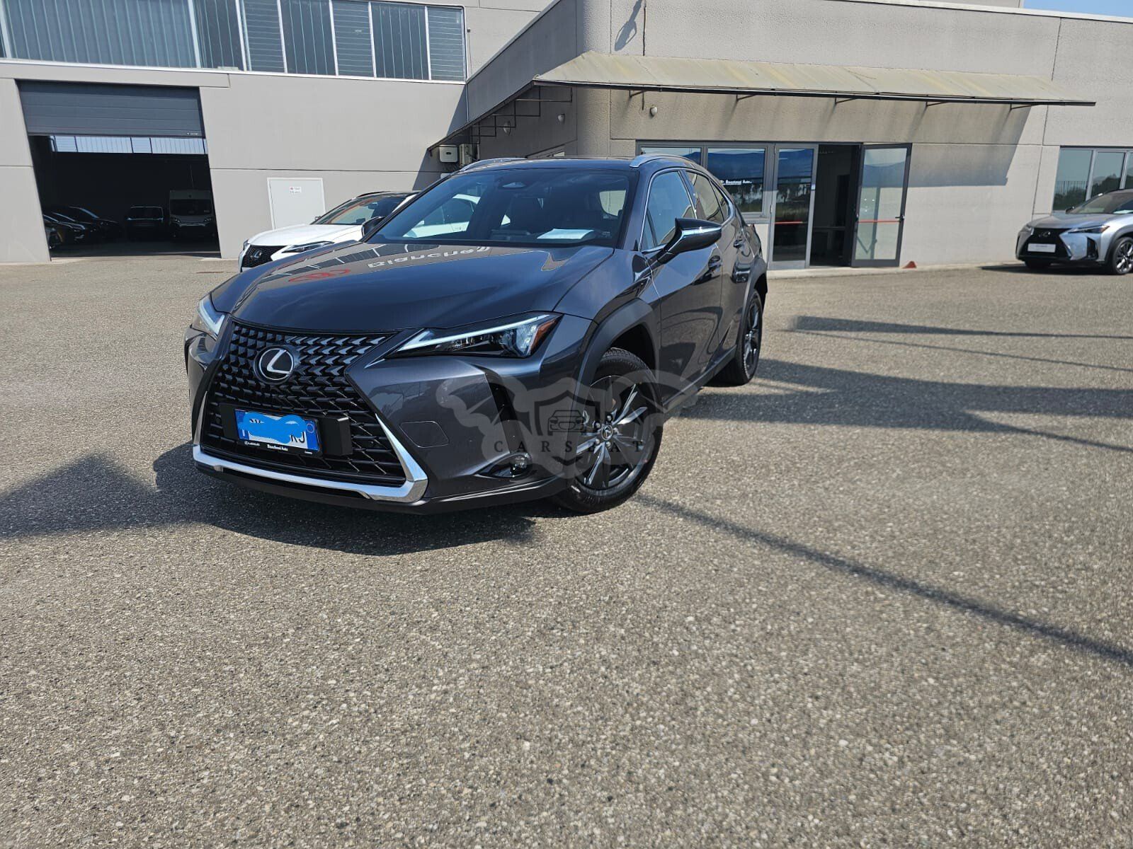 Lexus UX 300 2025
