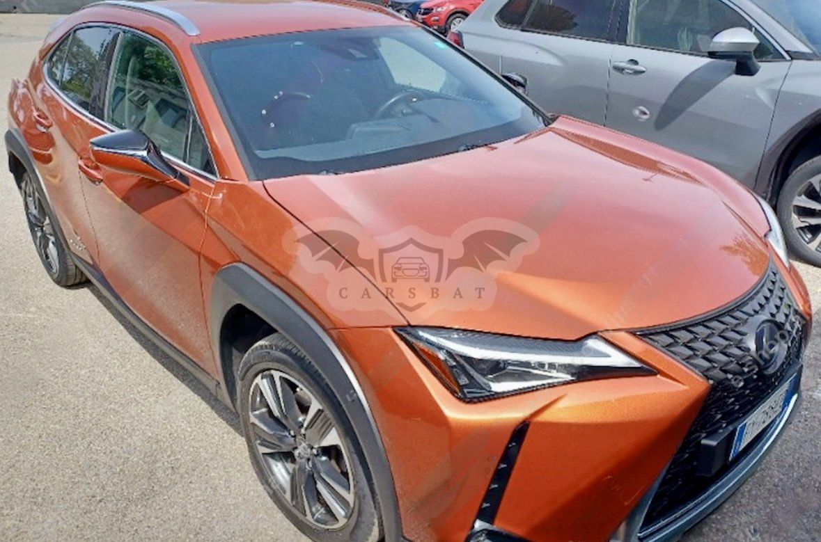 Lexus UX 250h Business 2019