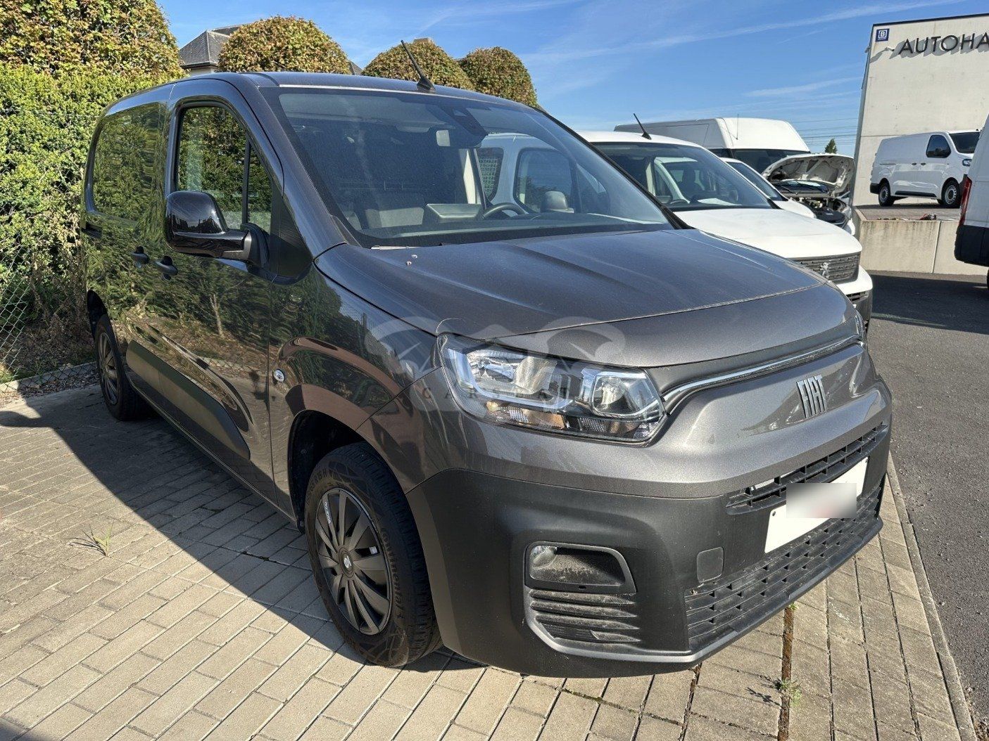 Fiat Doblo Cargo 1.5 2022
