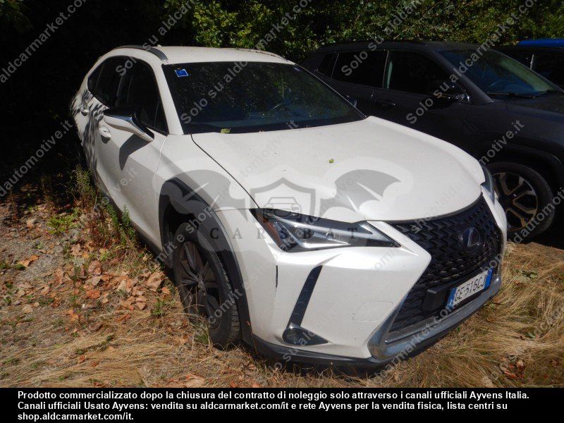 Lexus UX Executive 2021