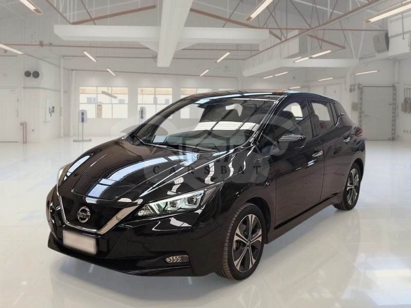 Nissan Leaf Business 2021
