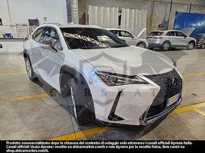 Lexus UX Business 2021