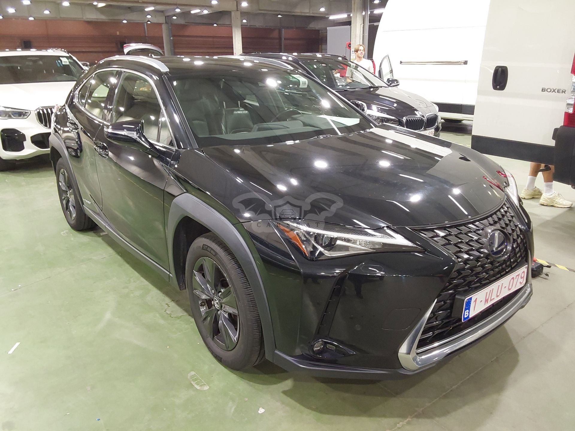 Lexus UX 250h Business 2019