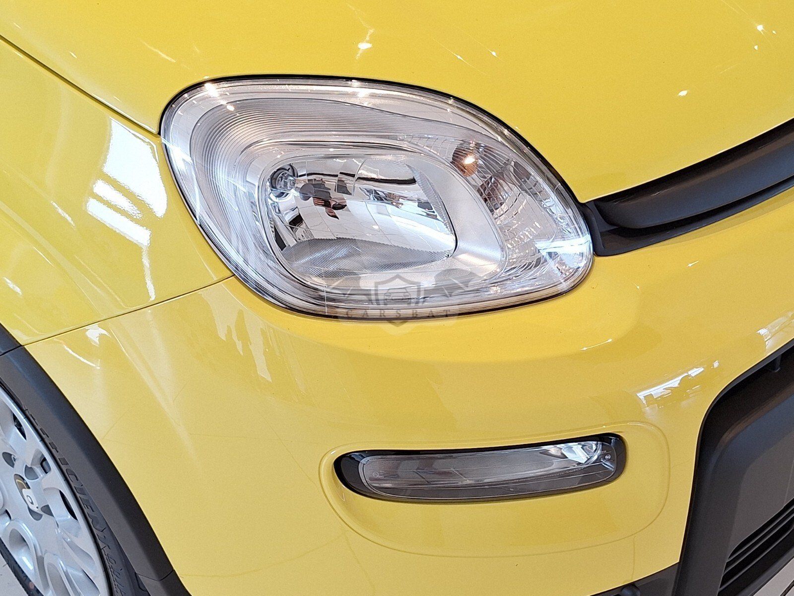 Fiat Panda 1.0 Icon 2024