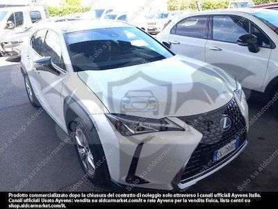 Lexus UX Business 2022