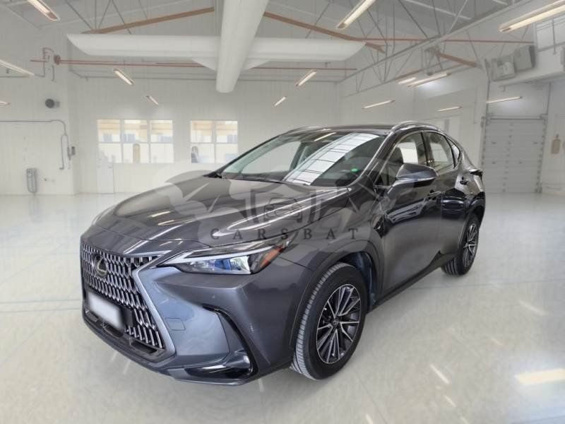 Lexus NX Business 2022