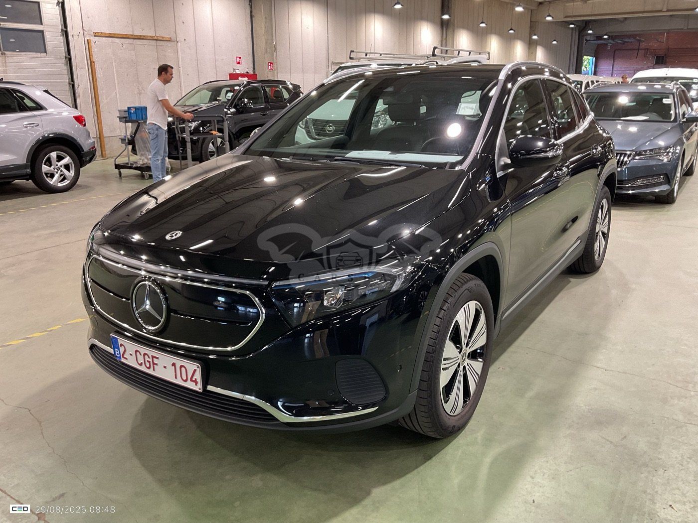 Mercedes-Benz EQA 250 Luxury 2022
