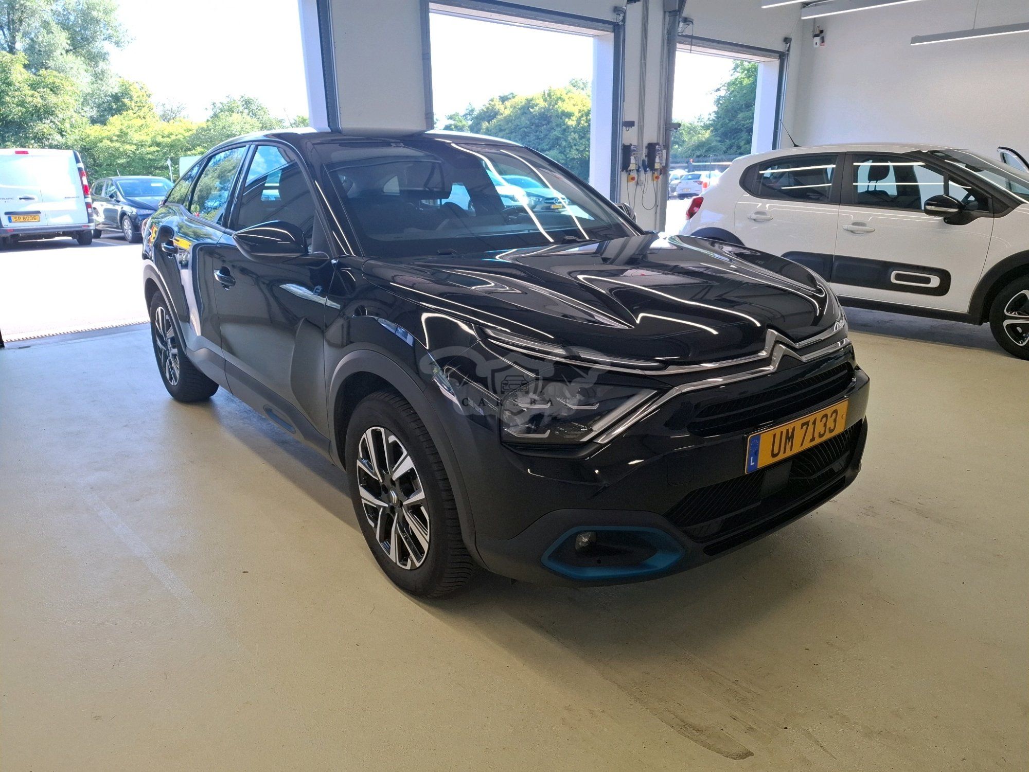 Citroën E-C4 50 kWh Feel 2023