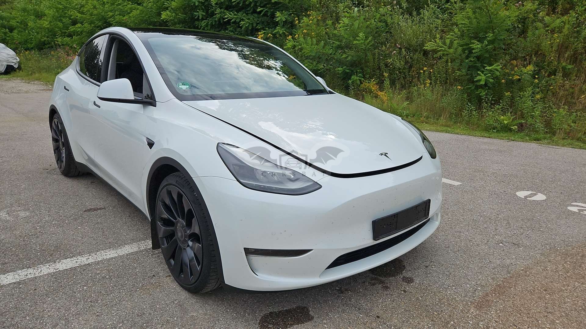 Tesla Model Y Performance 2022